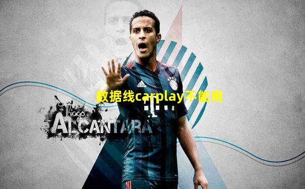 数据线carplay不能用