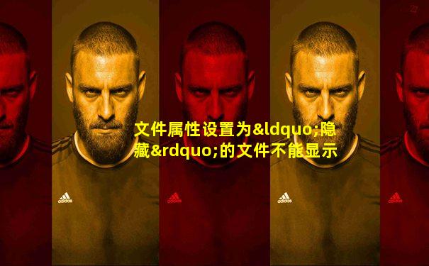 文件属性设置为“隐藏”的文件不能显示