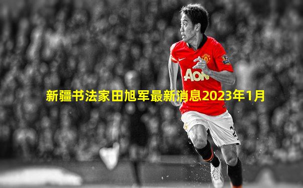 新疆书法家田旭军最新消息2023年1月