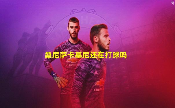 桑尼萨卡基尼还在打球吗