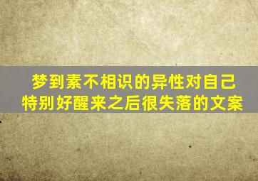 梦到素不相识的异性对自己特别好醒来之后很失落的文案