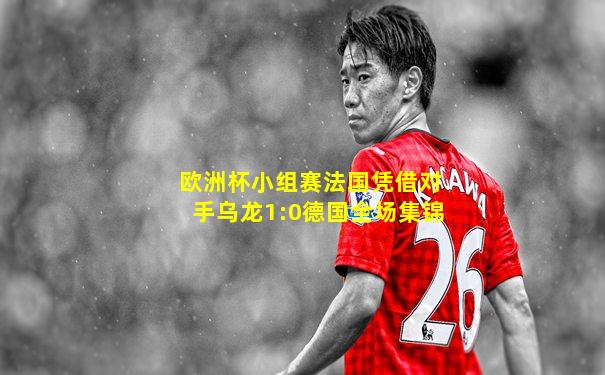 欧洲杯小组赛法国凭借对手乌龙1:0德国全场集锦