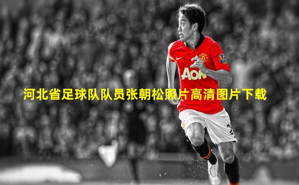 河北省足球队队员张朝松照片高清图片下载