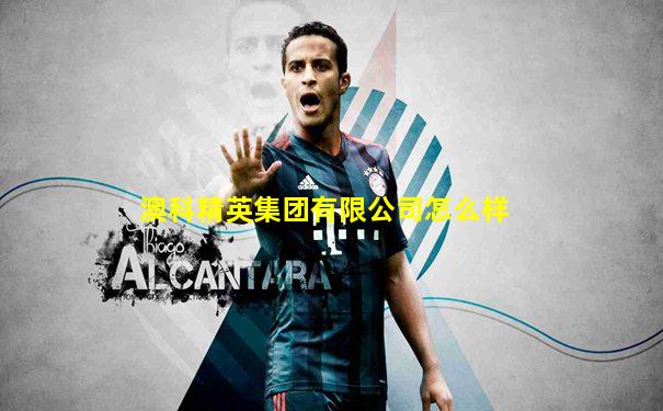 澳科精英集团有限公司怎么样