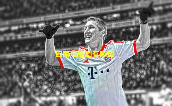 田雨电视剧有哪些