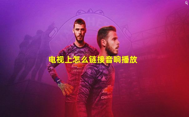 电视上怎么链接音响播放