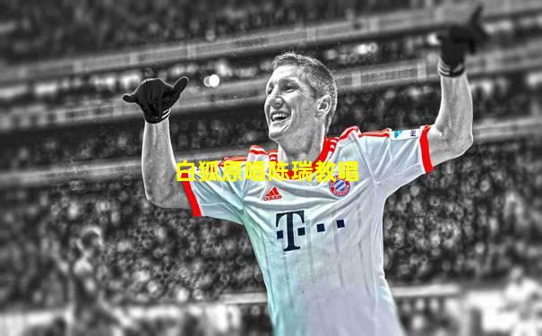 白狐原唱陈瑞教唱
