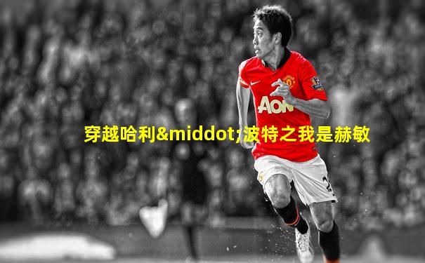 穿越哈利·波特之我是赫敏