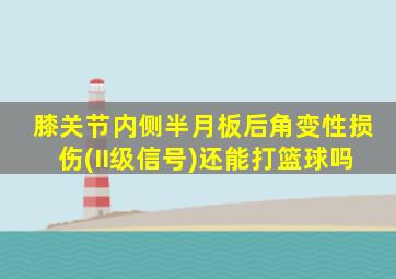 膝关节内侧半月板后角变性损伤(II级信号)还能打篮球吗