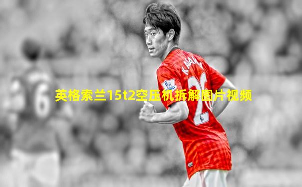 英格索兰15t2空压机拆解图片视频