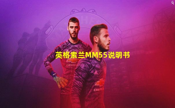 英格索兰MM55说明书