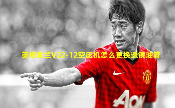 英格索兰V22-12空压机怎么更换透镜油管