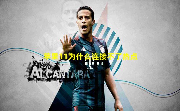 苹果11为什么连接不了热点