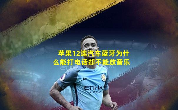 苹果12连汽车蓝牙为什么能打电话却不能放音乐