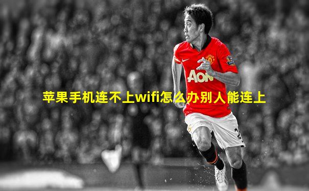 苹果手机连不上wifi怎么办别人能连上