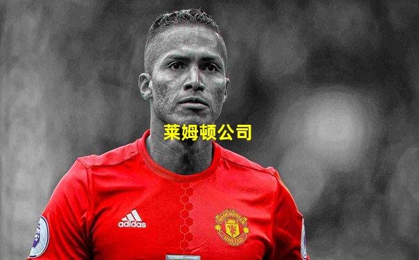 莱姆顿公司