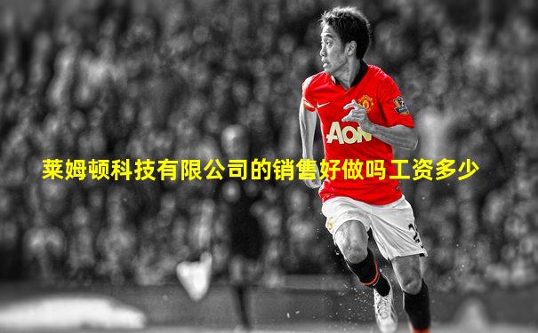 莱姆顿科技有限公司的销售好做吗工资多少