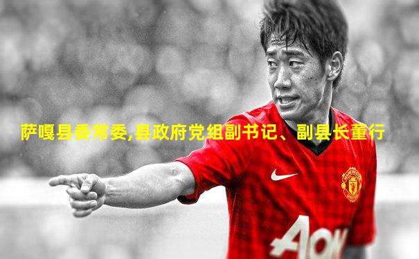 萨嘎县委常委,县政府党组副书记、副县长董行