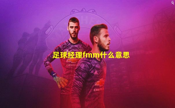 足球经理fmm什么意思