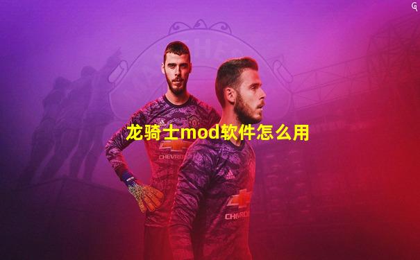 龙骑士mod软件怎么用